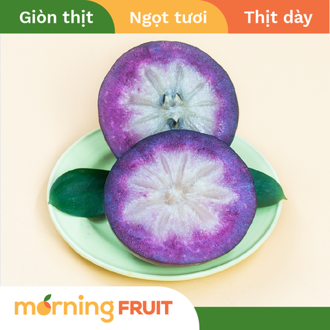  Vú Sữa Tím Bách Thảo 