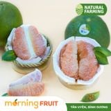  Bưởi da xanh size nhỏ 