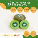  Kiwi xanh New Zealand 