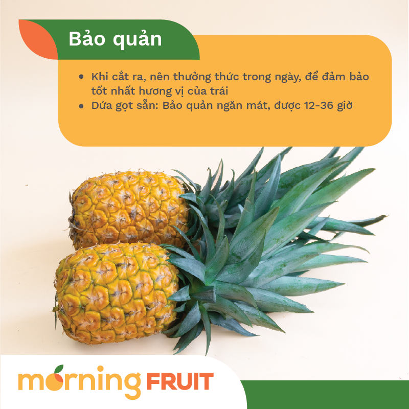 Dứa mật MD2 – Morning Fruit - Trái Cây Chất Lượng Cao