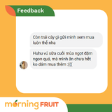  Vú Sữa Tím Bách Thảo 