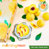  Đào vàng Bắc Kinh 