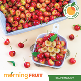  Cherry vàng Mỹ 