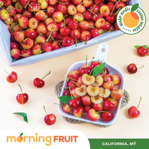  Cherry vàng Mỹ 