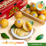  Mận vàng Mỹ 