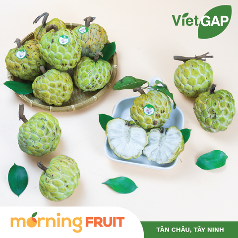  Mãng cầu Bà Đen 