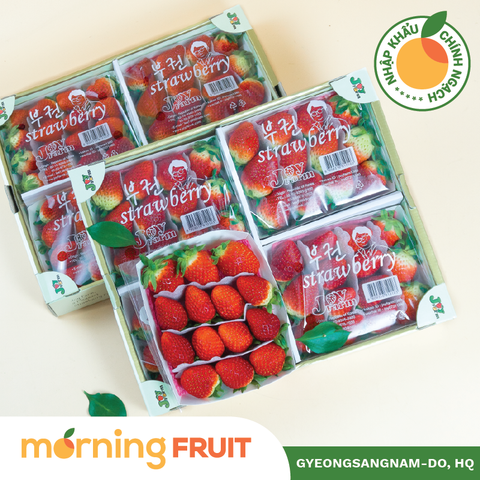  Dâu Hàn Quốc Joy Farm 