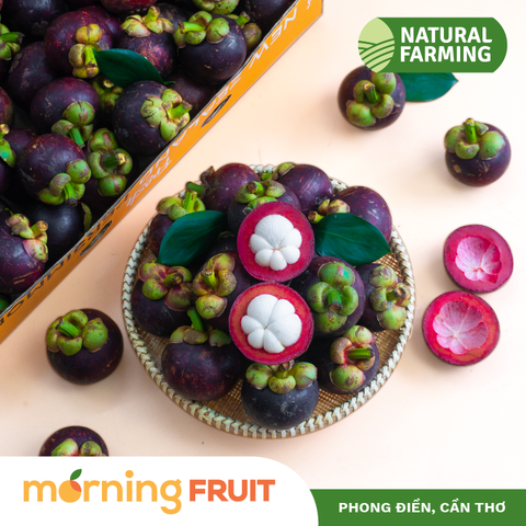  Măng cụt Miền Tây 