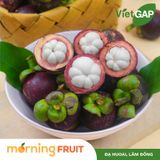  Măng cụt size tiêu 