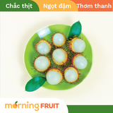  Chôm chôm nhãn 