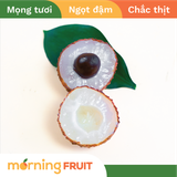  Vải thiều lai 