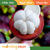  Măng cụt Miền Tây 