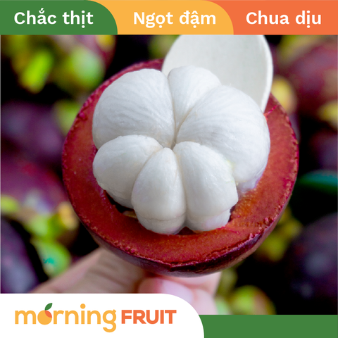  Măng cụt Miền Tây 