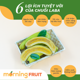  Chuối Laba 