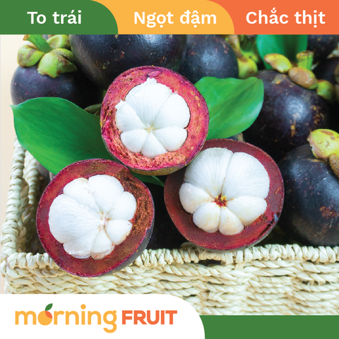  Măng cụt Bảo Lộc 