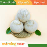 Dừa dứa 