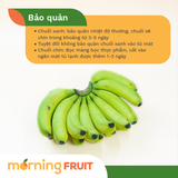  Chuối Laba 
