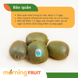  Kiwi xanh New Zealand 