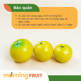 Vú sữa Hoàng Kim 