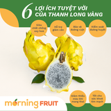  Thanh long vàng 