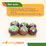  Vú Sữa Tím Bách Thảo 