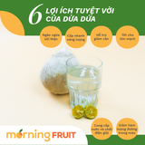  Dừa dứa 