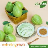  Ổi giống Đài Loan 