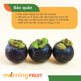  Măng cụt Bảo Lộc 