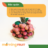  Vải thiều lai 