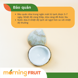  Dừa dứa 