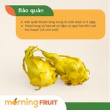  Thanh long vàng 