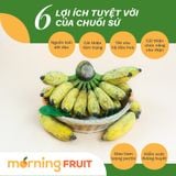  Chuối Sứ 