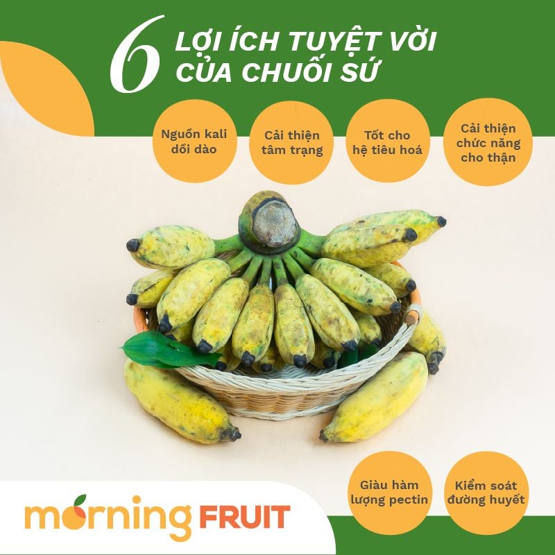 Kỹ thuật trồng chuối sứ cực đơn giản cho năng suất cao