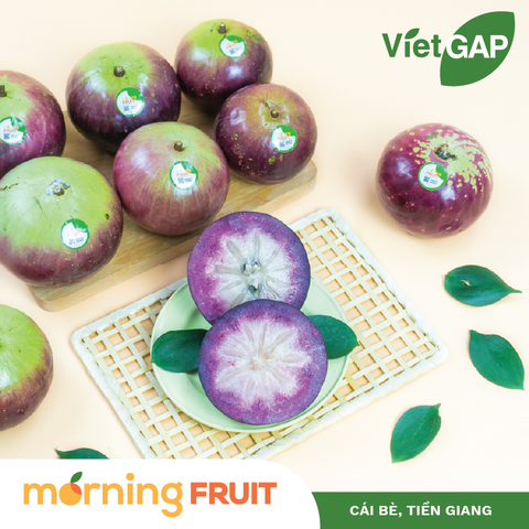  Vú Sữa Tím Bách Thảo 