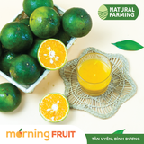  Cam sành Hiếu Liêm 