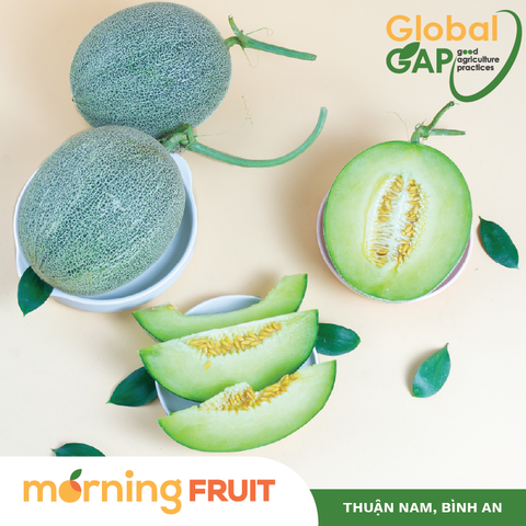  Dưa lưới Biển Ngọc Bích (KG) 