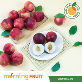  Xuân đào ruột trắng Úc 