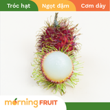  Chôm chôm giống Thái 