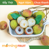  Vải U Trứng 