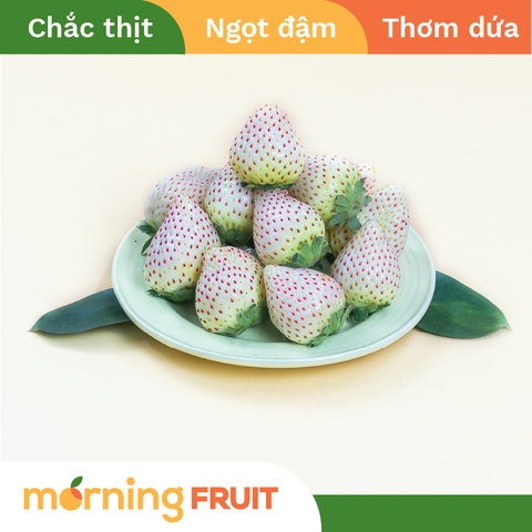  Dâu Bạch Tuyết 
