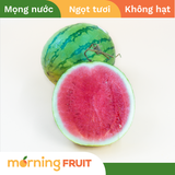  Dưa hấu không hạt 