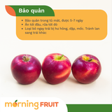  Táo Rockit New Zealand 