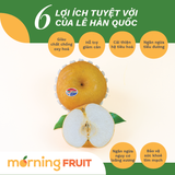  Lê Hàn K-pear 