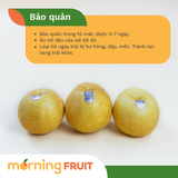  Lê Hàn Rima (hộp 3 trái, 1.1KG) 