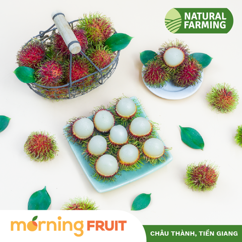  Chôm chôm giống Thái 