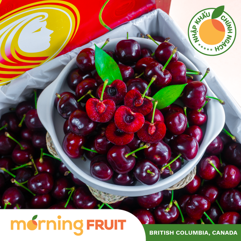  Cherry đỏ Canada 