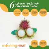  Chôm chôm giống Thái 