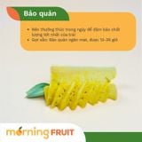  Khóm Tắc Cậu 