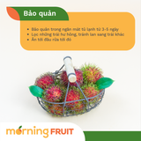  Chôm chôm giống Thái 