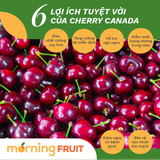  Cherry đỏ Canada 